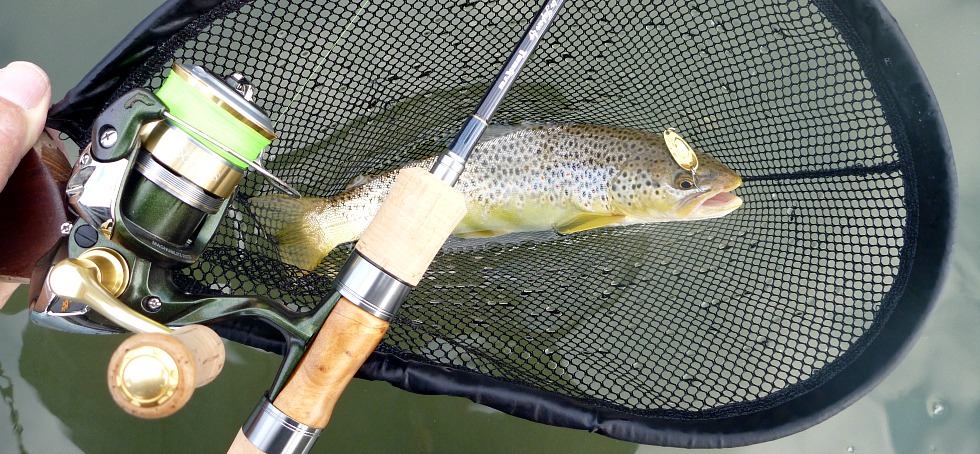 Tenryu rod, Shimano reel, trout in net showing Crusader spoon that caught it.