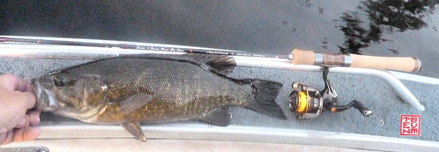 Tenryu Rayz Alter with large smallmouth bass.