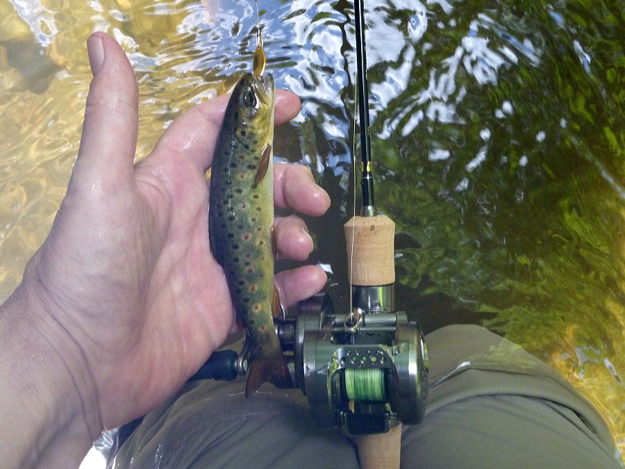 Angler holding a brook trout and a Tenryu rod with a Shimano BFS reel.