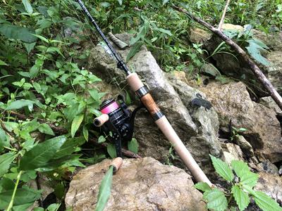 テンリュウ レイズ68lml